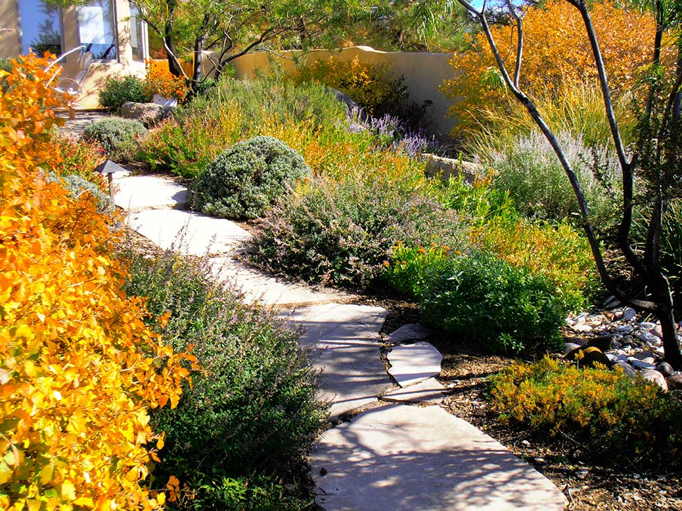 WildGreen Landscaping Inc