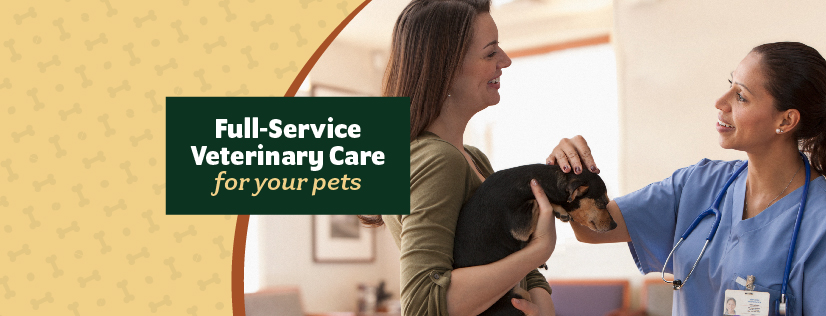 Hometown Veterinary Clinic