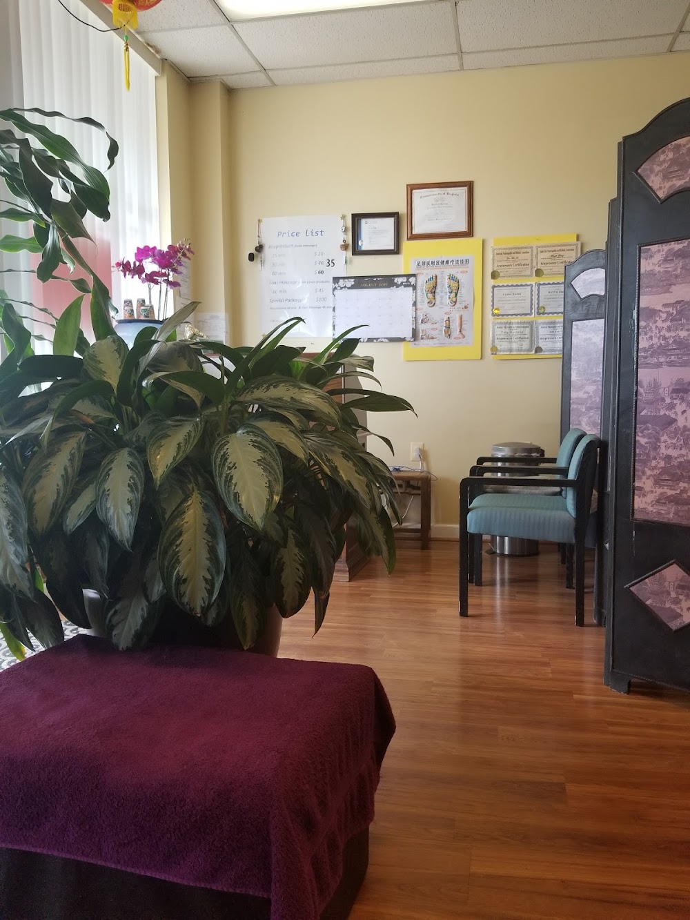 Wellness Massage